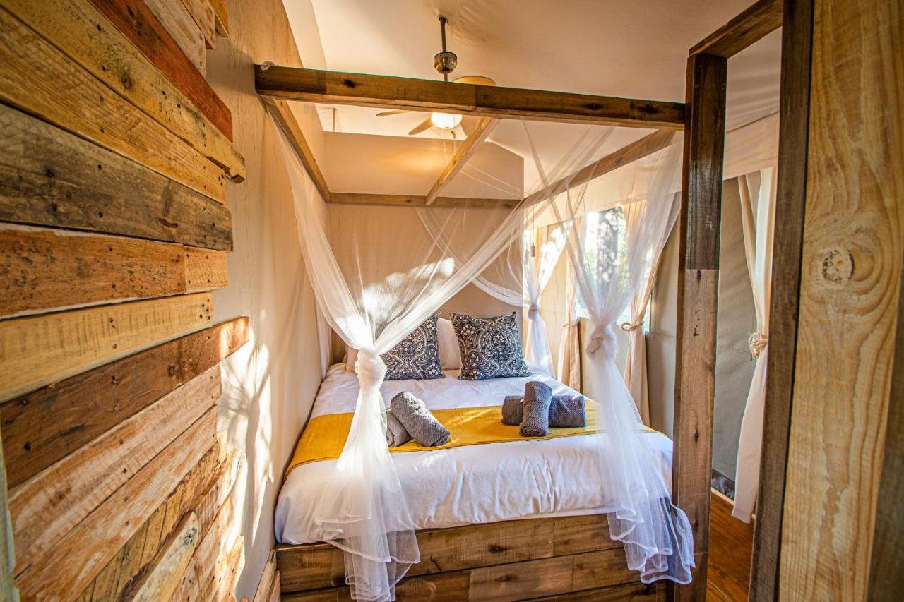הודספרויט Mountain View Safari Lodge מראה חיצוני תמונה