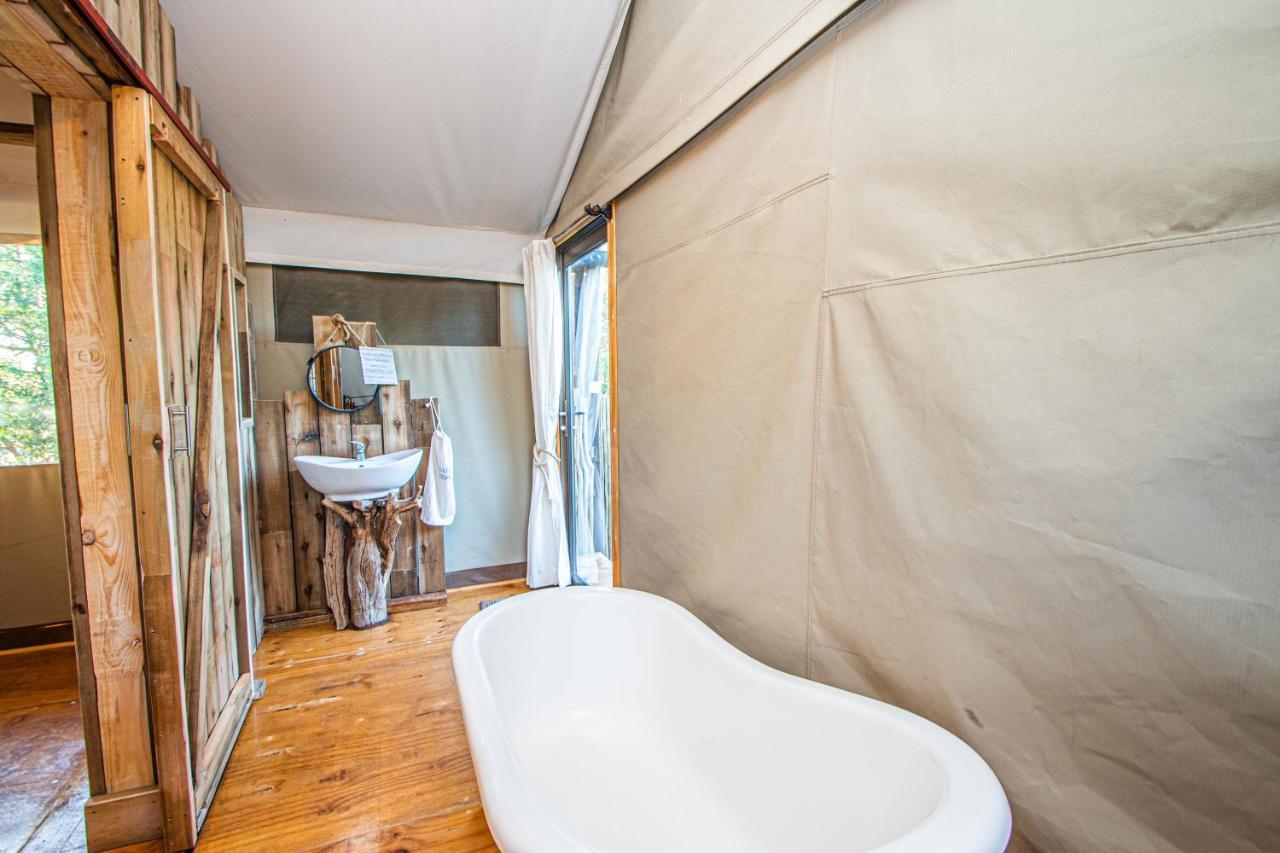 הודספרויט Mountain View Safari Lodge מראה חיצוני תמונה